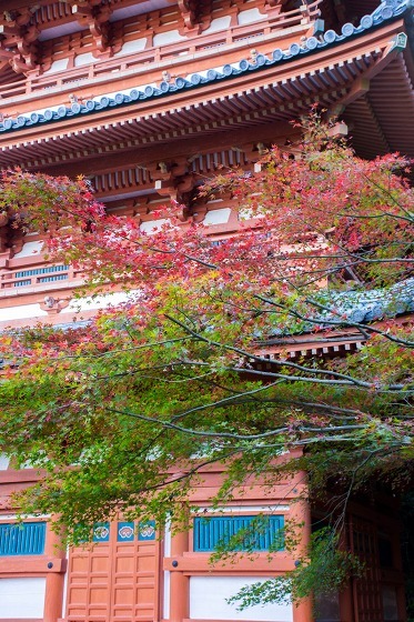 e0176993_09200549.jpg