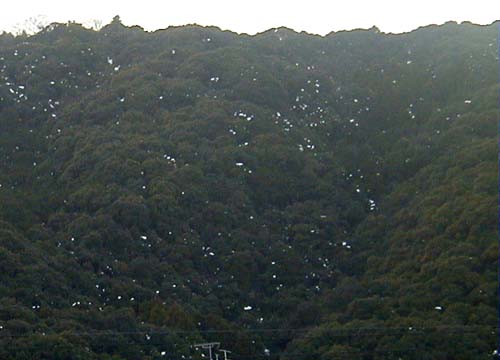 d0053294_0264893.jpg