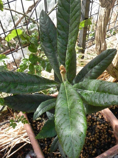 c0152002_18015777.jpg