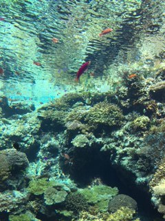 a0167204_15164438.jpg