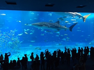 a0167204_15170330.jpg
