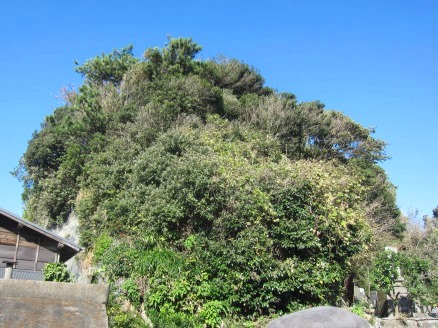 訪問ガイド研修－葉山文化財研究会「葉山堀内地区の文化財巡り」(2017.01.26)_e0245404_2335137.jpg