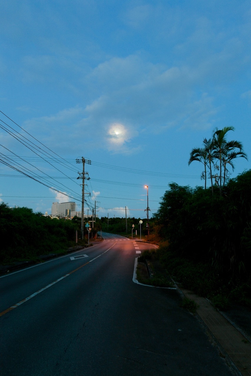 f0349904_16395099.jpg