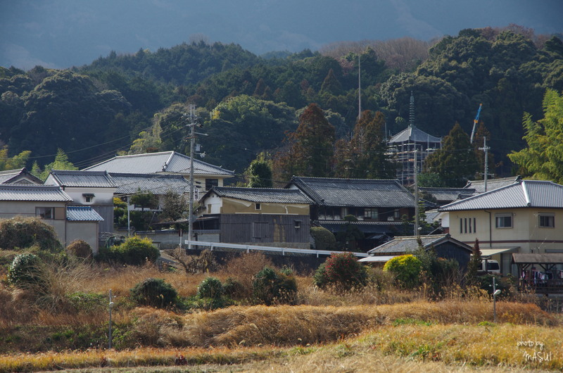 葛城市當麻　西塔は工事中_d0342307_23182706.jpg