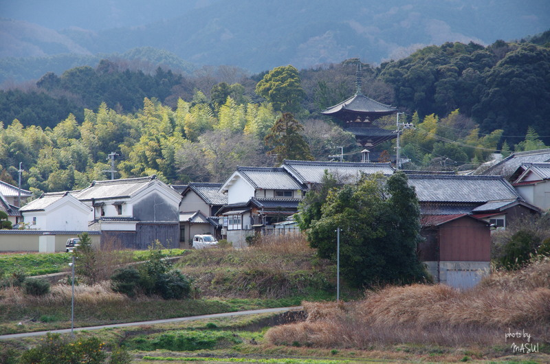 葛城市當麻　西塔は工事中_d0342307_23183696.jpg