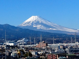 今が一番の見頃です!_d0091909_13355686.jpg