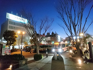 今が一番の見頃です!_d0091909_13391712.jpg
