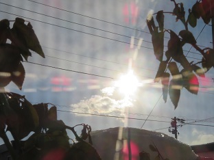 f0325309_15280842.jpg