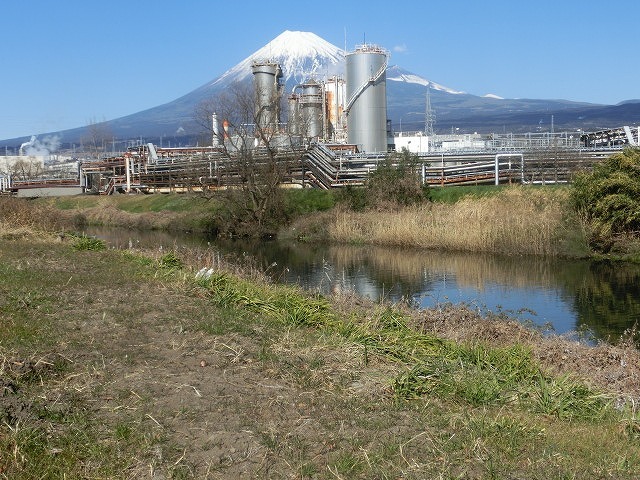 間もなく「お花見ウォーク」に向けた「滝川の土手普請」を始めます！_f0141310_08264532.jpg