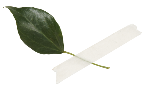 f0204110_1556366.png