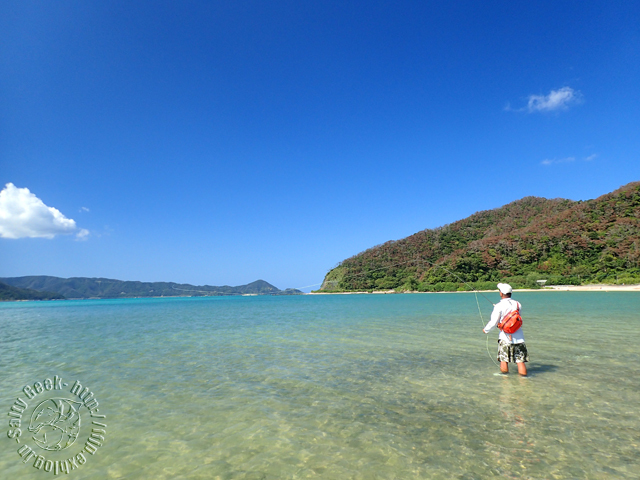 f0315711_20134544.jpg