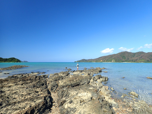 f0315711_20134689.jpg