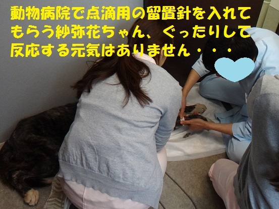 f0121712_14444882.jpg