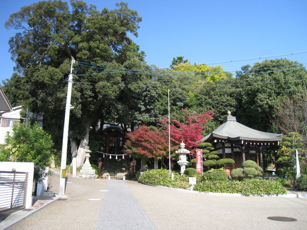 d0287413_19454197.jpg