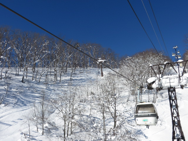 d0351213_7365321.jpg