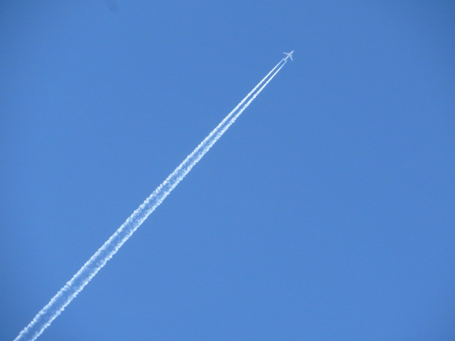 d0351213_7424897.jpg