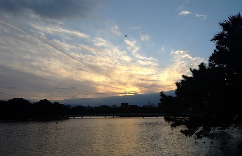 f0371014_07415207.jpg