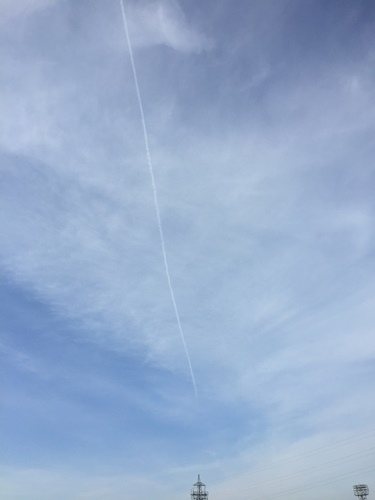 f0251618_1353331.jpg