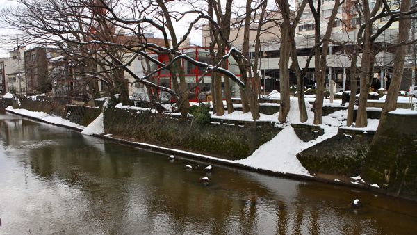 大雪のち雨のち雪（？）（2017.01.27 FRI.）_b0226219_16590281.jpg