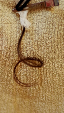 c0109726_20583213.jpg