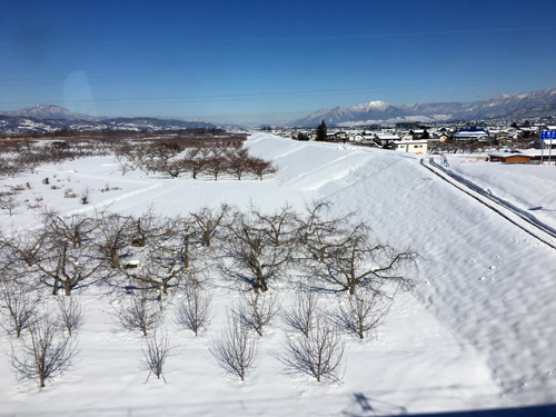 c0107129_032567.jpg