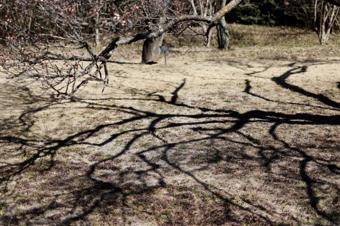 【国営武蔵丘陵森林公園】_f0348831_18014657.jpg
