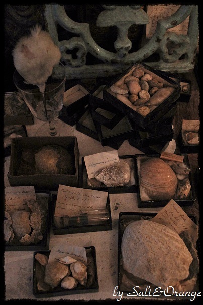 e0246732_16512414.jpg