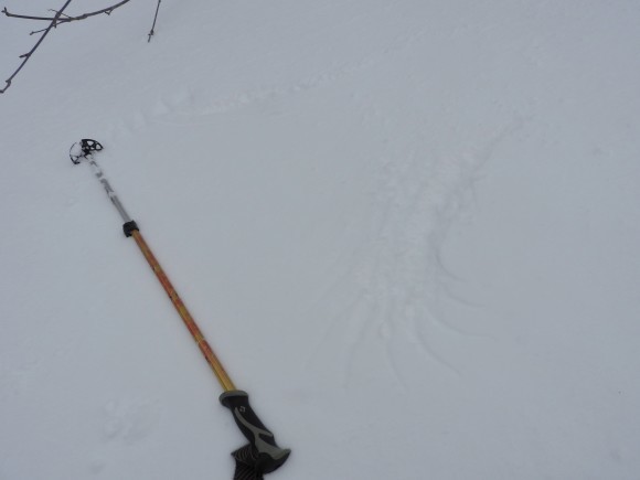 f0118332_21532734.jpg