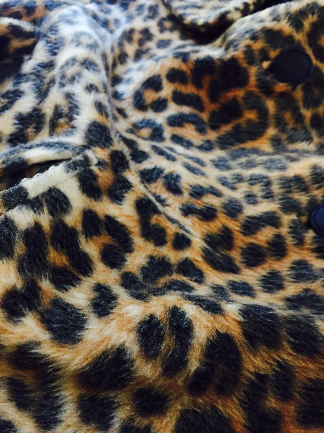 c0177238_1425286.jpg