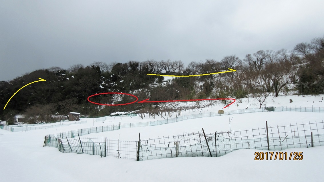 E 4wdは4wd 定年後は忙しい E 4wdは4wd 定年後は忙しい