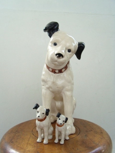 ビクター犬 : santana cotoya ビクター犬 : santana cotoya