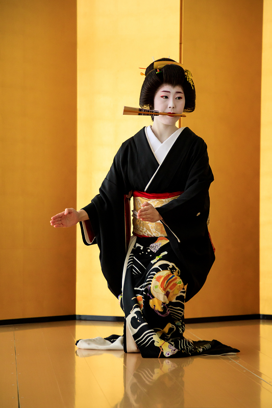 春の舞（京都国立博物館・平成知新館）祇園甲部・槇子さん、千紗子さん（写真部門）_f0155048_23594194.jpg