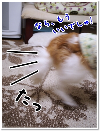 d0013149_01095312.jpg