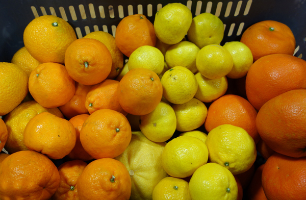 今週のランチ：画像追加！【スペアリブとにんじんのオレンジ煮】4種のオレンジ深みのある味に。_a0017350_04010934.jpg