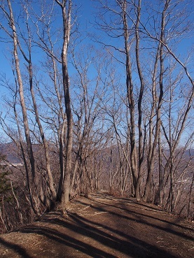 b0335256_20491831.jpg