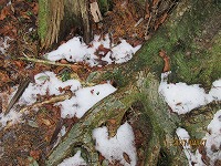 a0093965_22254980.jpg