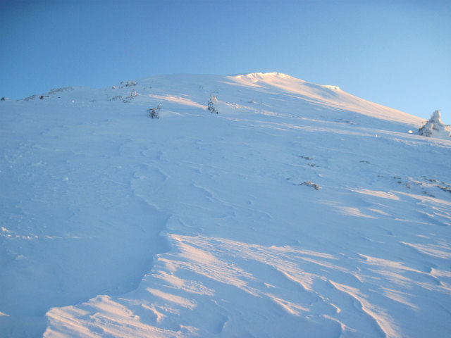 c0219866_12523864.jpg
