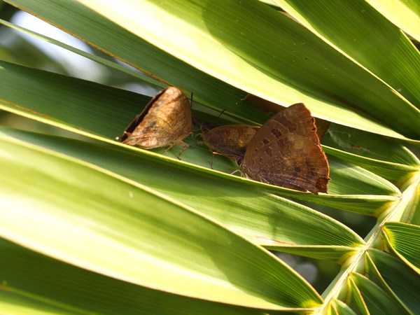b0135573_1834491.jpg