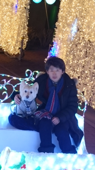 b0242873_23404804.png