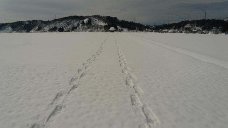 除雪ボランテア　7日目（小国町）_c0212083_18544301.jpg