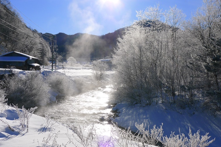 1月27日、「朝刊」　青空は、どこへ。。_a0130586_10043716.jpg