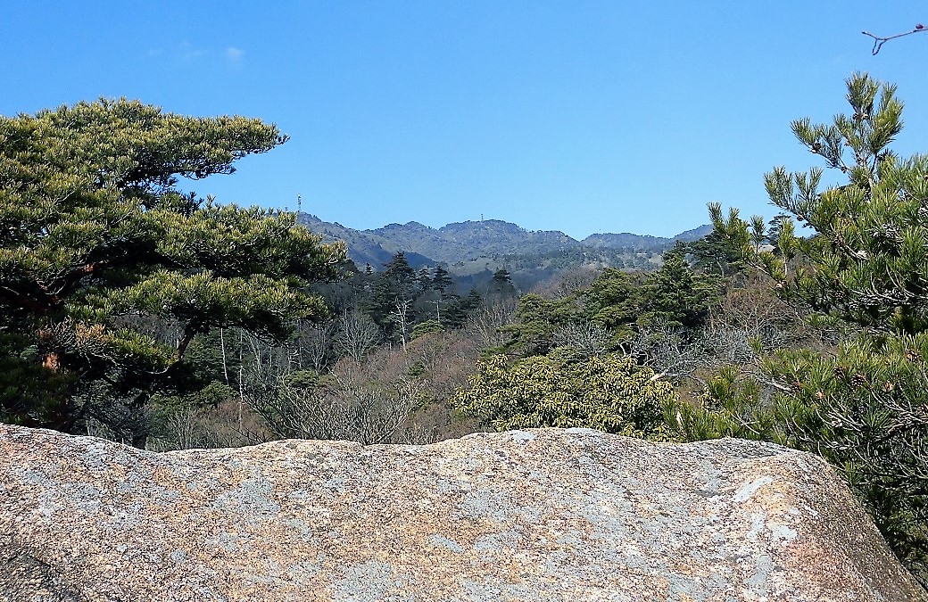 d0125589_1041314.jpg