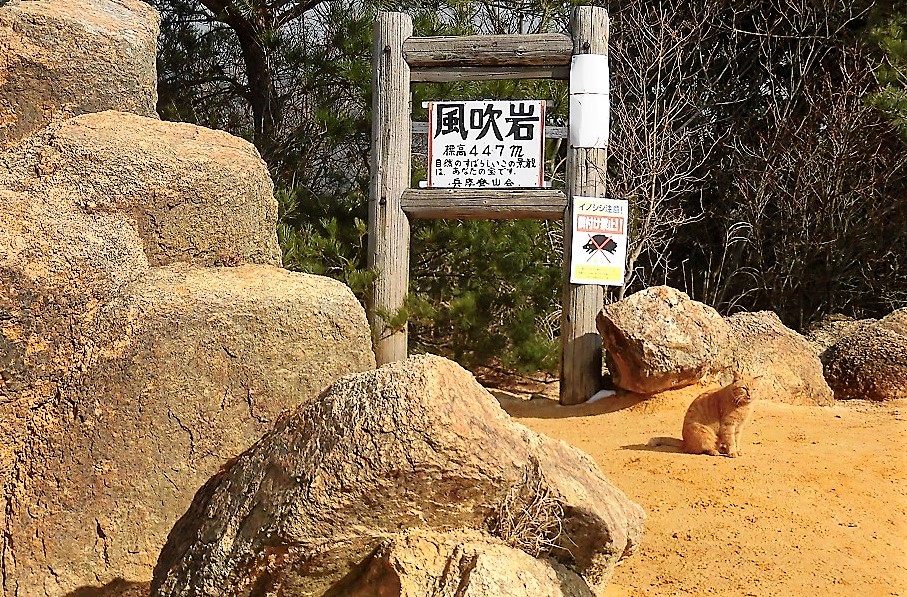 干支の金鳥山と梅林_d0125589_10424378.jpg