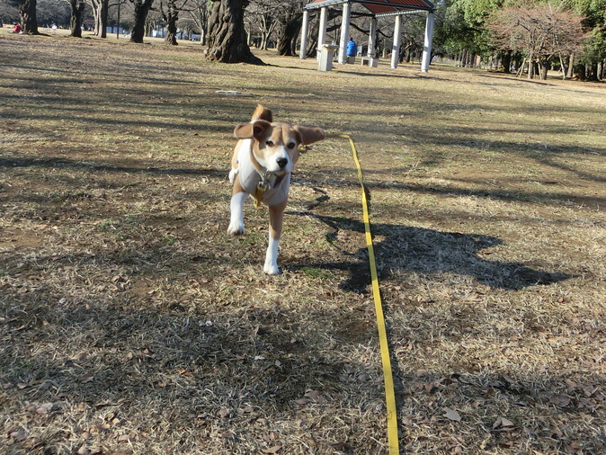 a0319693_725720.jpg