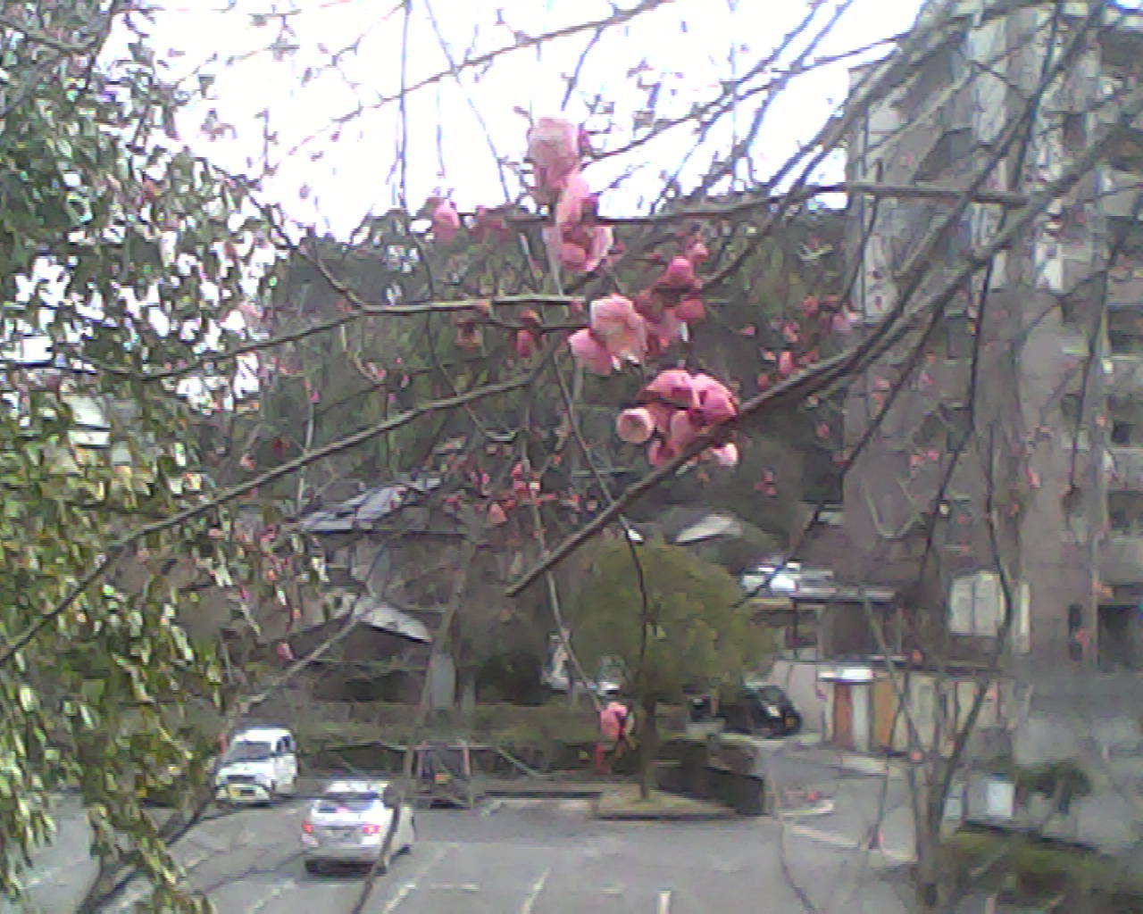 a0335493_20034299.jpg