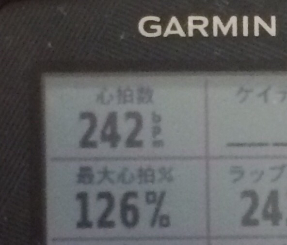 a0348193_15363156.jpg