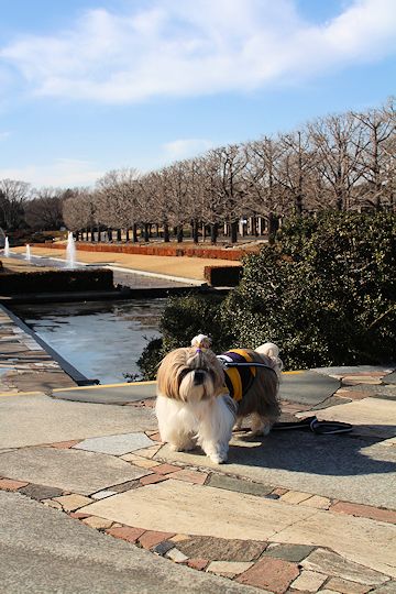 今日は「ソー公園」に行ってきたの。_c0090198_194759.jpg