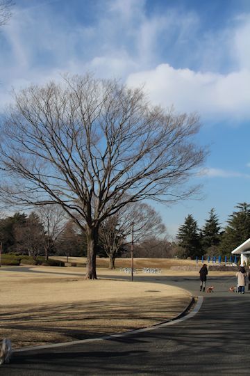 今日は「ソー公園」に行ってきたの。_c0090198_19511930.jpg
