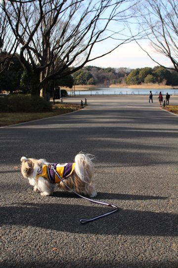 今日は「ソー公園」に行ってきたの。_c0090198_19553689.jpg