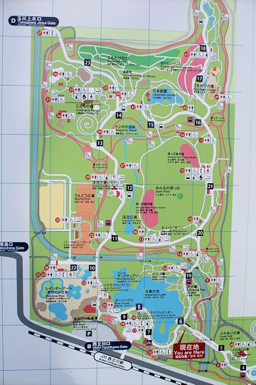 今日は「ソー公園」に行ってきたの。_c0090198_19555460.jpg